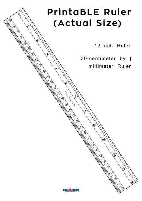 40mm ruler